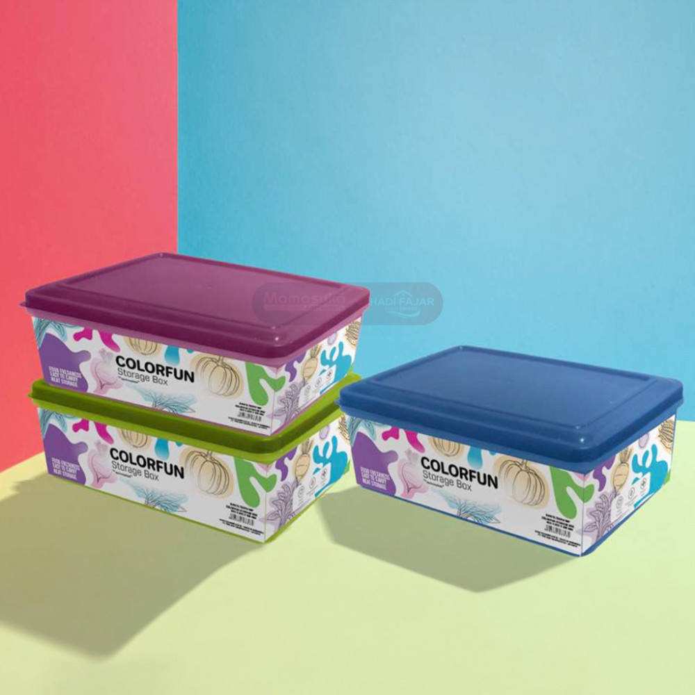TECHNOPLAS STORAGE BOX COLORFUN SW972(24)