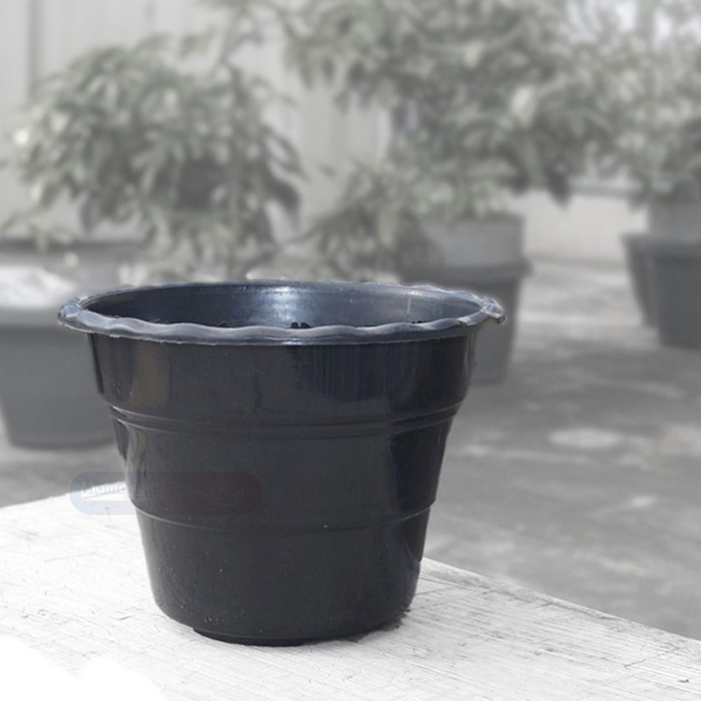 HDV $ POT BUNGA 25 HITAM  (240)