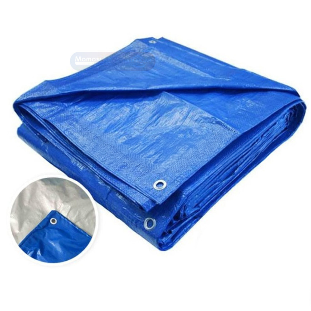 SUPER TERPAL 10X12 A6 (2)
