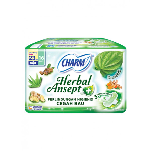 CHARM HERBAL ANSEPT+ WING 23CM/16`S X 24