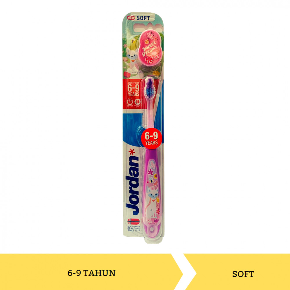 JORDAN T.BRUSH 6-9TH SOFT