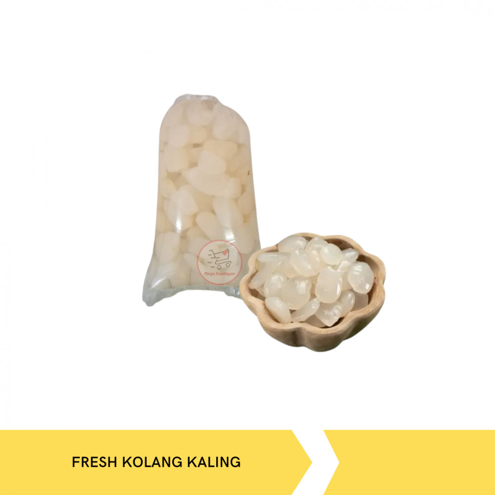 FRESH KOLANG KALING
