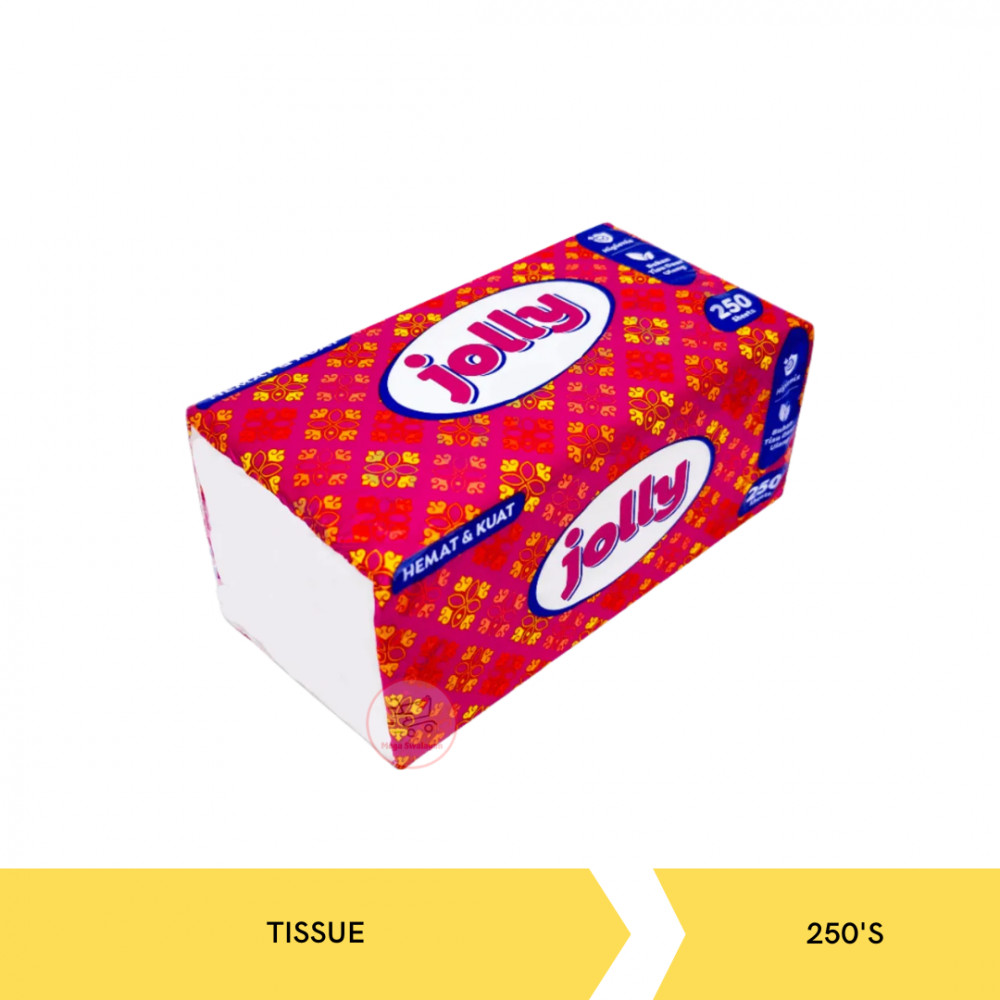 JOLLY TISSUE 250`S X 48