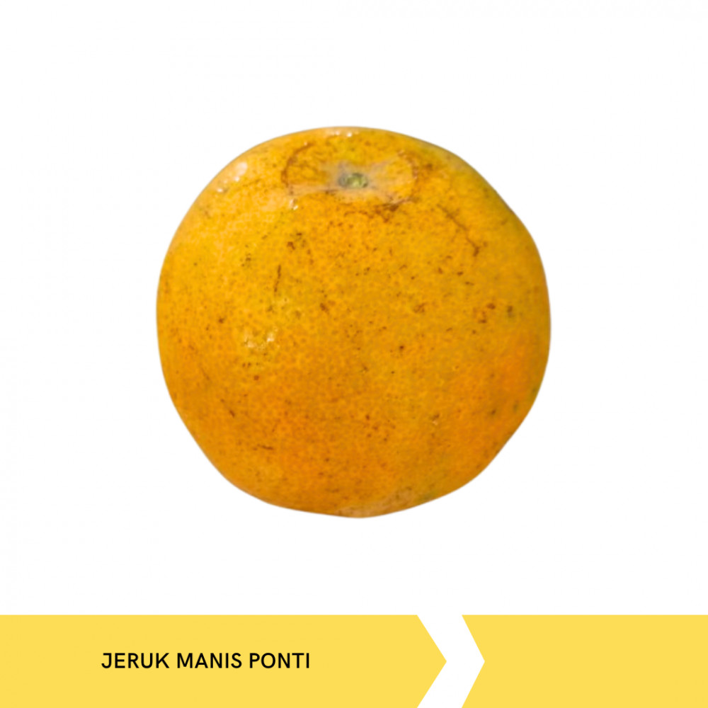 JERUK MANIS PONTI