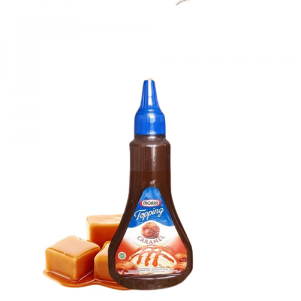 MORIN TOPPING CARAMEL 300G X 12