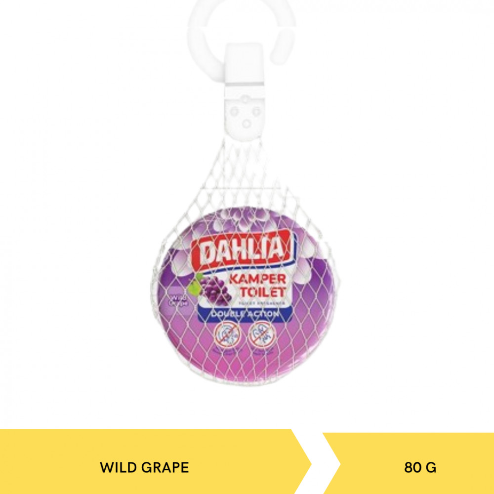 DAHLIA K24/SG WILD GRAPE GANTUNG X 24