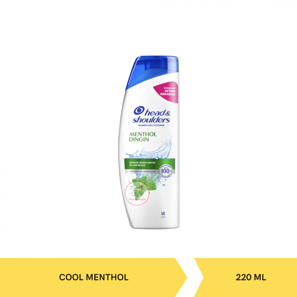 HEAD&SHOULDERS SHP C. MENTHOL 220ML