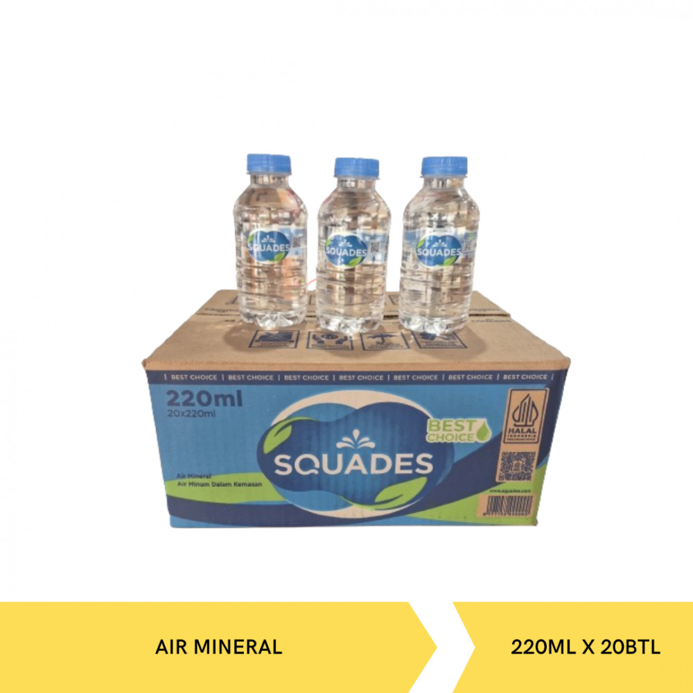 SQUADES WATER BOX BTL 220ML ISI 20BTL