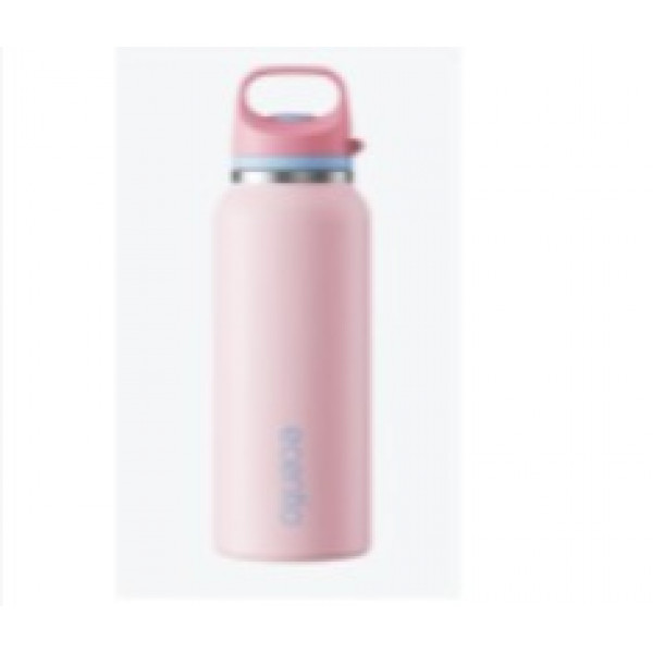 ECENTIO 650 ML ONE HAND OPEN OUTDOOR BOTTLE WITH HANDLE PI