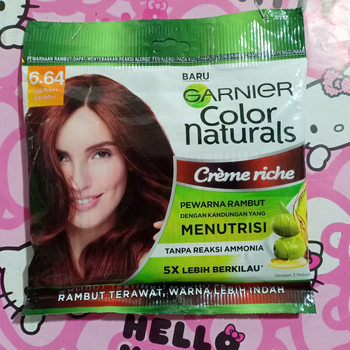 GARNIER COLOR EXPRES 6.64 SCH
