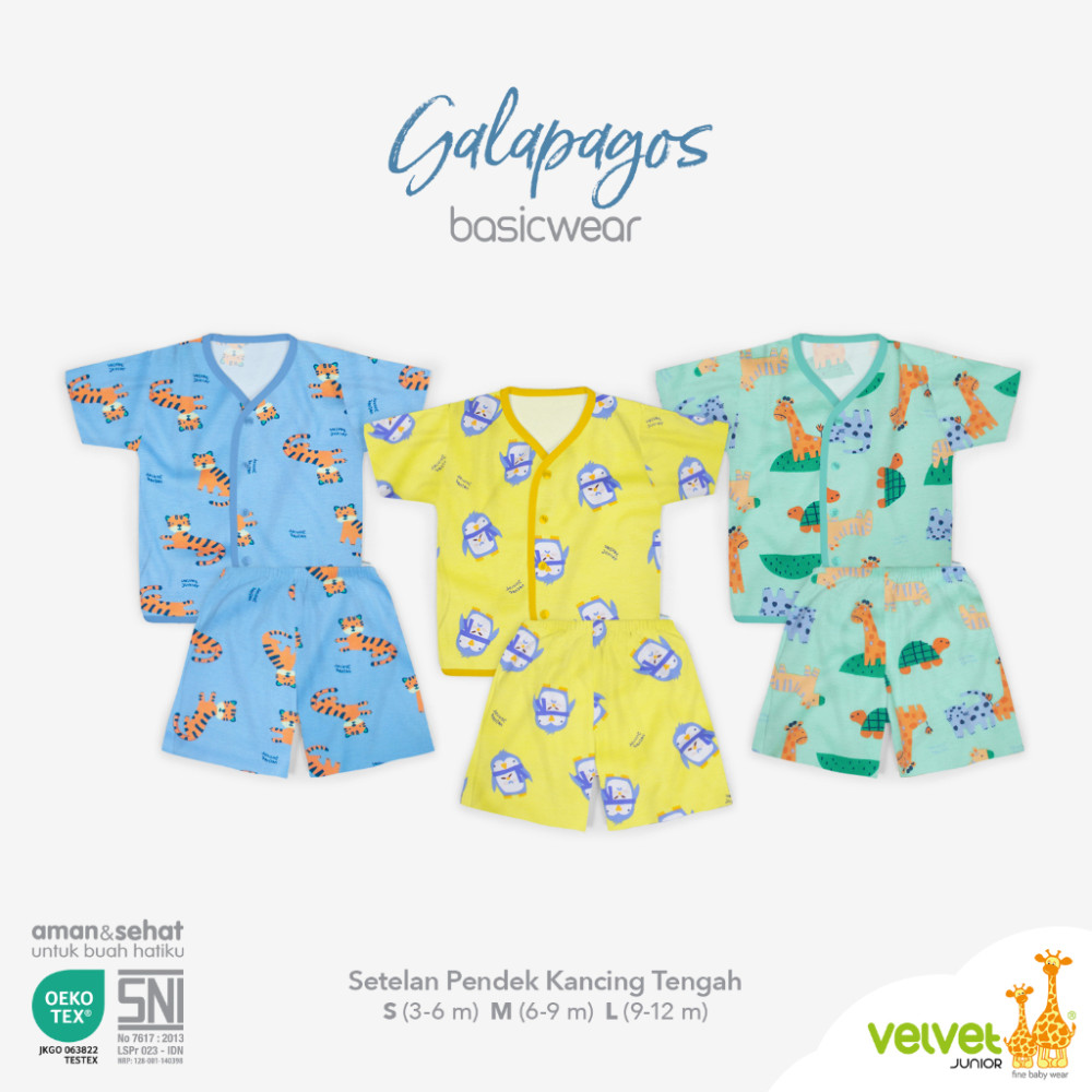 VELVET SETELAN KANCING TENGAH PENDEK+CELANA PENDEK L GALAPAGOS