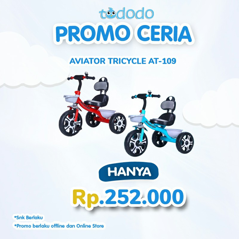 AVIATOR TRICYCLE AT-109