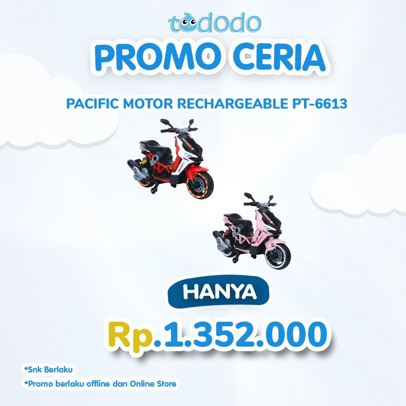 PACIFIC MOTOR RECHARGEABLE PT-6613