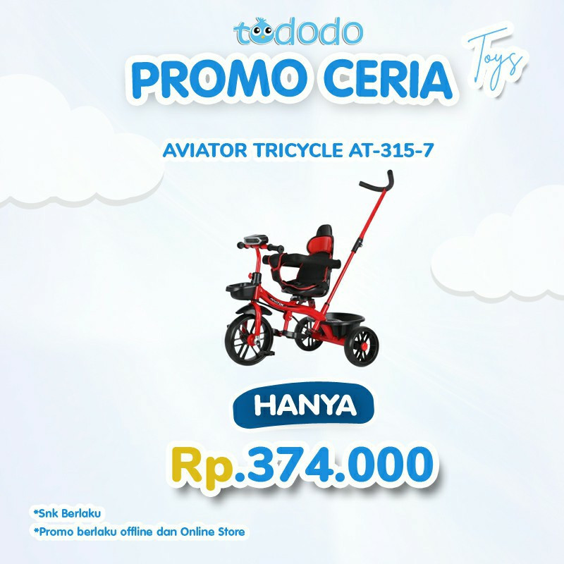 AVIATOR TRICYCLE AT-315-7