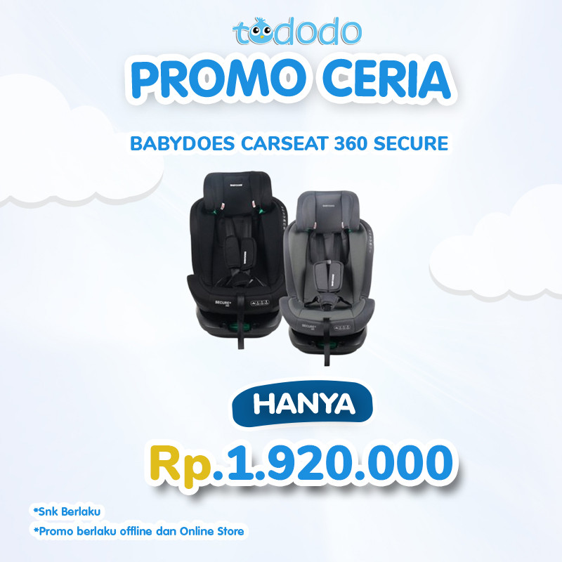 BABYDOES CARSEAT 360 SECURE