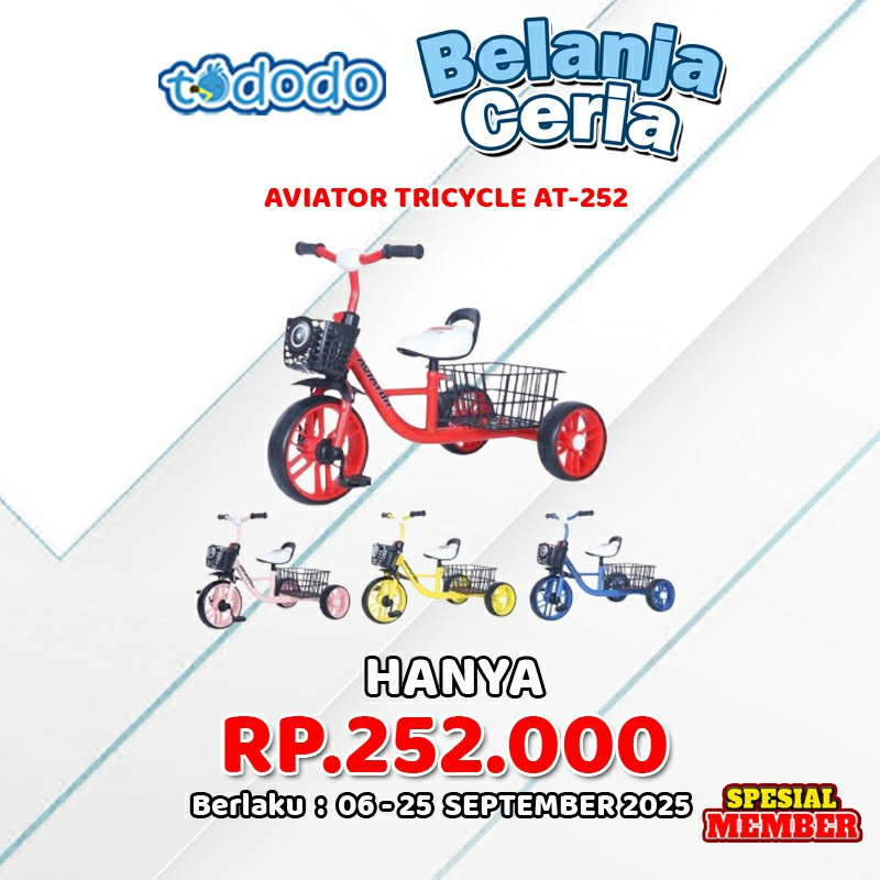 AVIATOR TRICYCLE AT-252